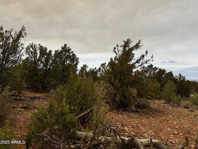 3585 Meadow Wood Dr Unit 125, Happy Jack, AZ 86024