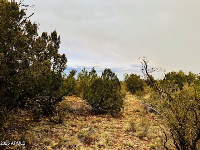3585 Meadow Wood Dr Unit 125, Happy Jack, AZ 86024
