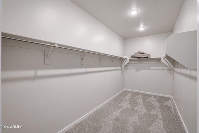 spacious closet featuring carpet flooring