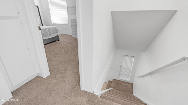 10420 N 10th St Unit 2, Phoenix, AZ 85020 - staircase with carpet