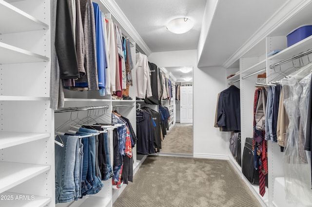 walk in closet with carpet floors