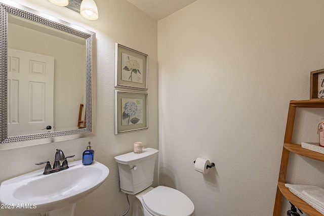1125 S Larkspur St, Gilbert, AZ 85296 - half bath with a sink and toilet