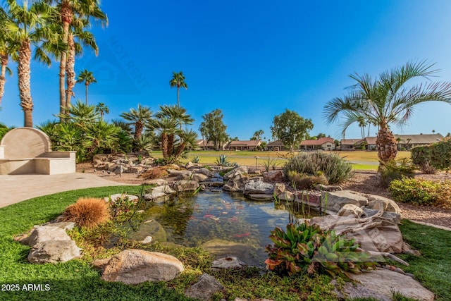 view of yard featuring a garden pond and a patio