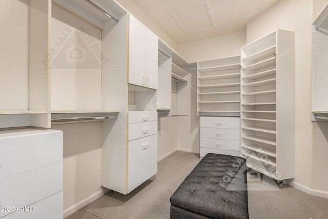 walk in closet featuring light carpet and attic access