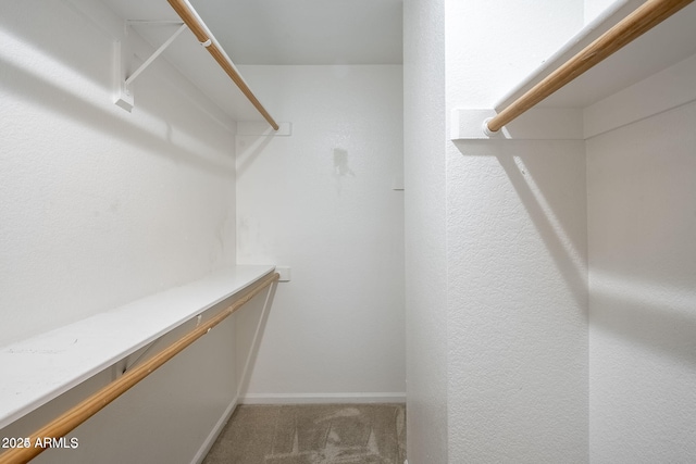 spacious closet with carpet