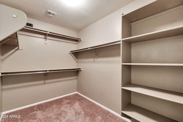 walk in closet with carpet