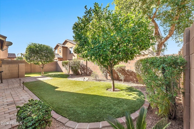 view of yard with a patio