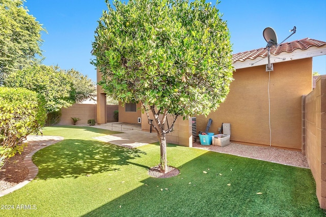 view of yard with a patio