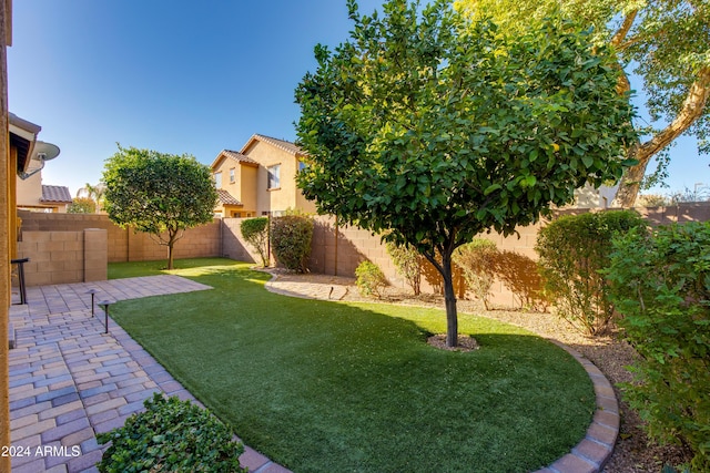 view of yard featuring a patio