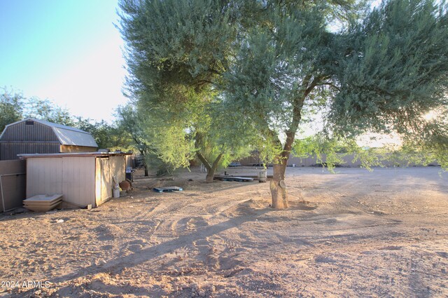 view of yard with a shed