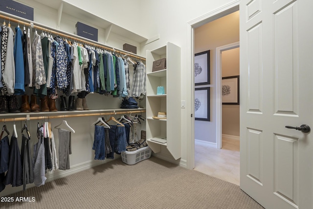8768 E Granite Pass Rd, Scottsdale, AZ 85266 - walk in closet with carpet flooring