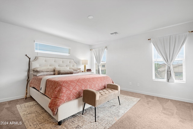 carpeted bedroom with multiple windows