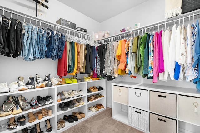 spacious closet with light carpet