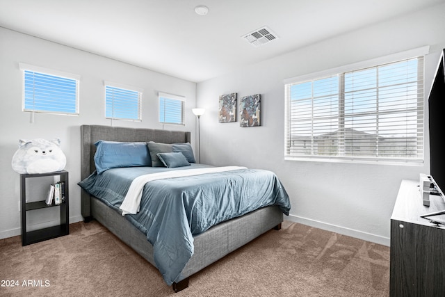 carpeted bedroom with multiple windows