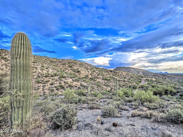 Listing photo 3 for 41197 N Longhorn Drive -, Scottsdale AZ 85262