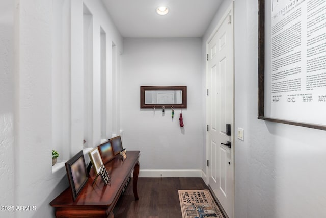 interior space with dark hardwood / wood-style flooring