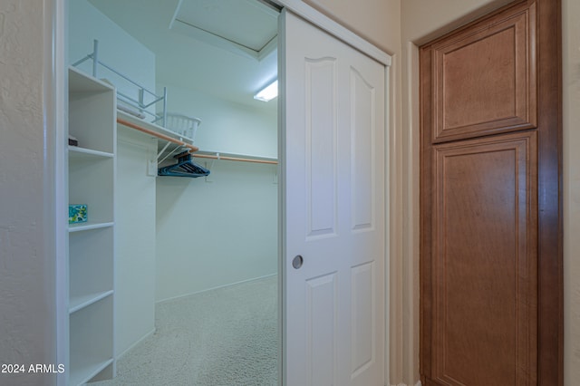 spacious closet featuring carpet