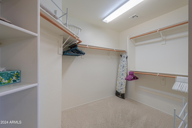 walk in closet with carpet floors