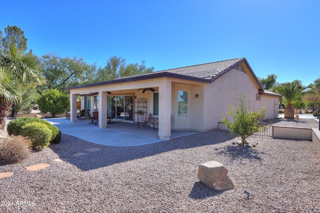 back of house featuring a patio area and ceiling fan