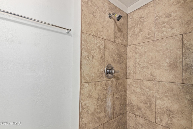 room details featuring a tile shower