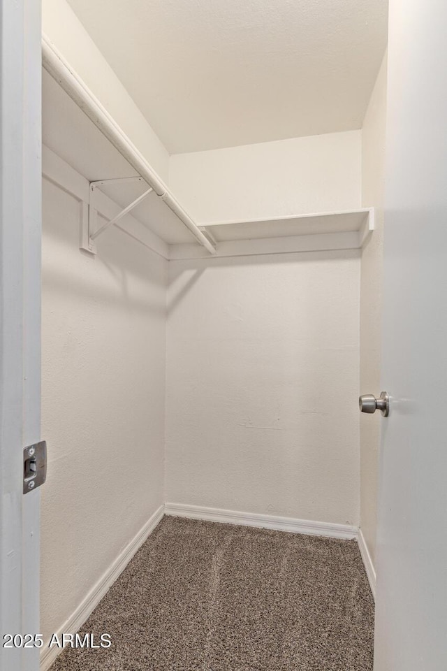 walk in closet featuring carpet