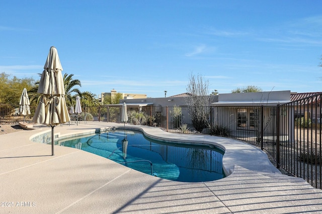 view of swimming pool with a patio area