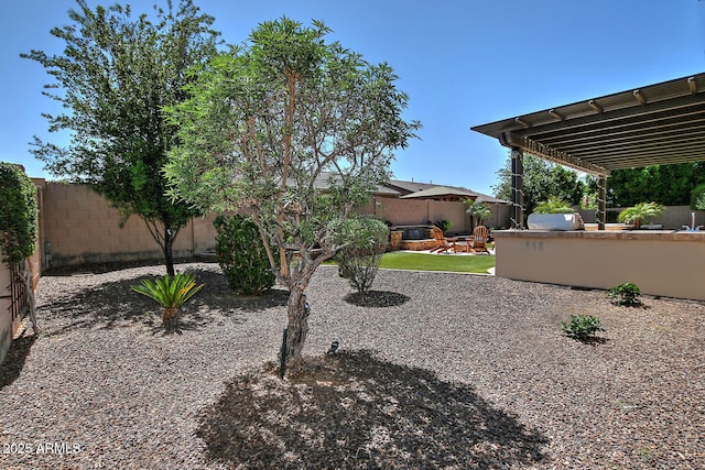 895 E Clovefield St, Gilbert, AZ 85298 - view of yard with a patio area and a fenced backyard