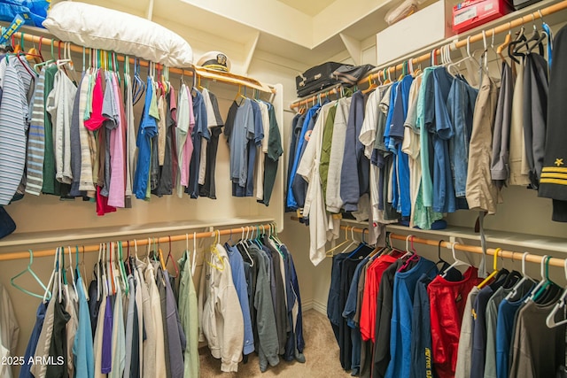 walk in closet with carpet floors