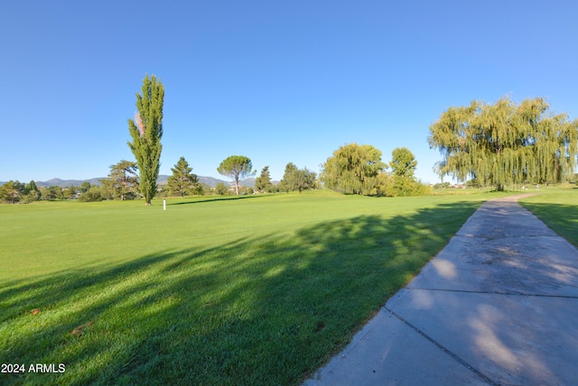 view of property's community with a yard