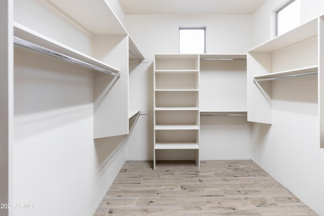 walk in closet featuring light hardwood / wood-style floors