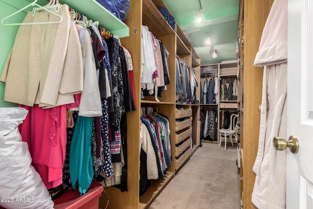 spacious closet with carpet