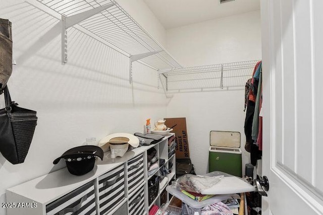 spacious closet with visible vents