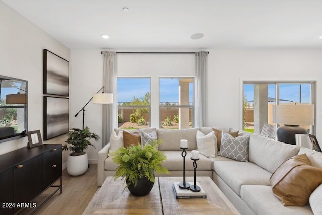 living room with a healthy amount of sunlight and light hardwood / wood-style floors