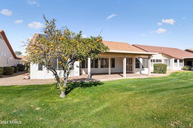 back of house featuring a yard and a patio area