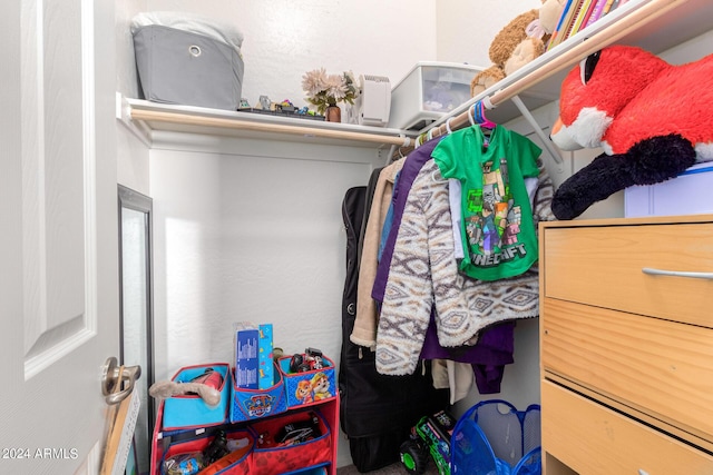 view of walk in closet