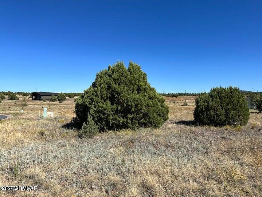 1161 S Lorenzo Sitgreaves Dr Unit 84, Show Low, AZ 85901