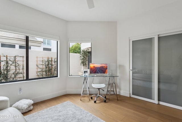 office with ceiling fan and wood-type flooring