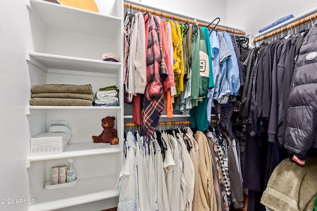 view of walk in closet