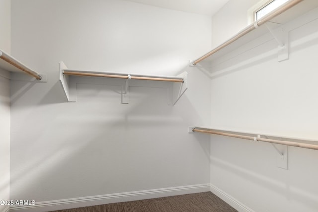 view of walk in closet