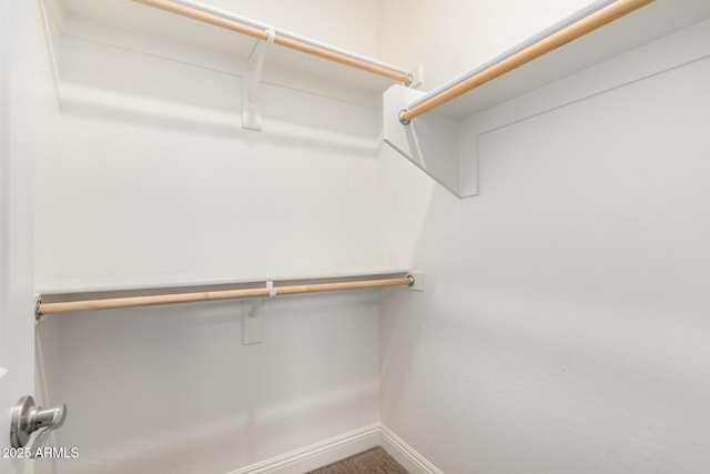 view of spacious closet