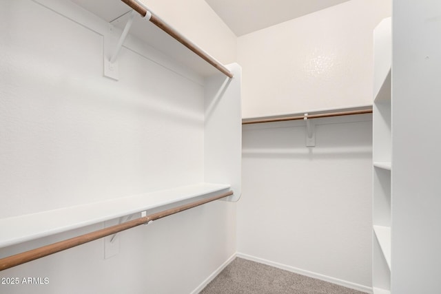 12355 W Hadley St, Avondale, AZ 85323 - walk in closet with carpet flooring