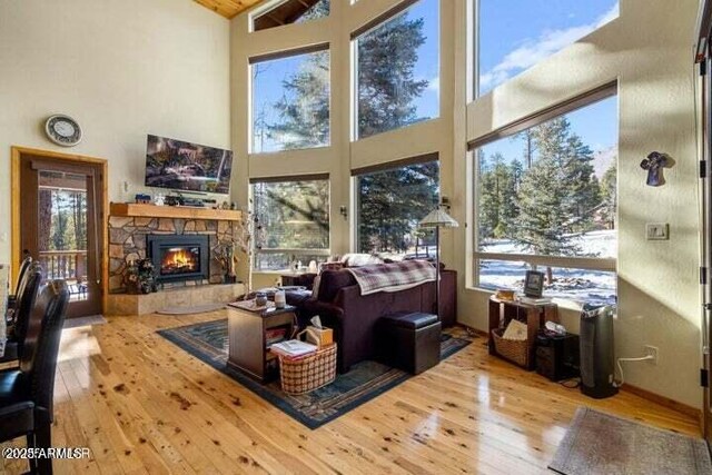 living room featuring a healthy amount of sunlight, a towering ceiling, and a fireplace