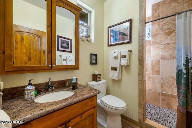 bathroom with toilet, curtained shower, and vanity