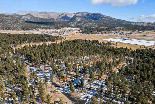 drone / aerial view featuring a mountain view