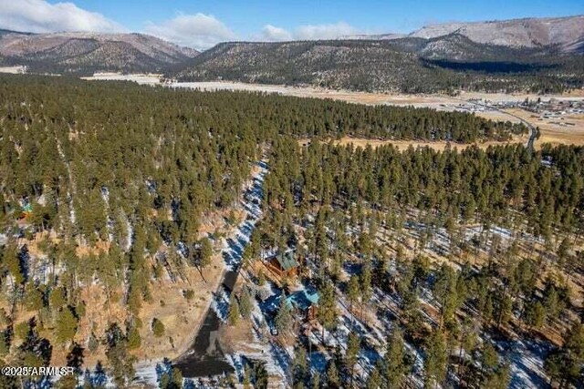 bird's eye view with a mountain view