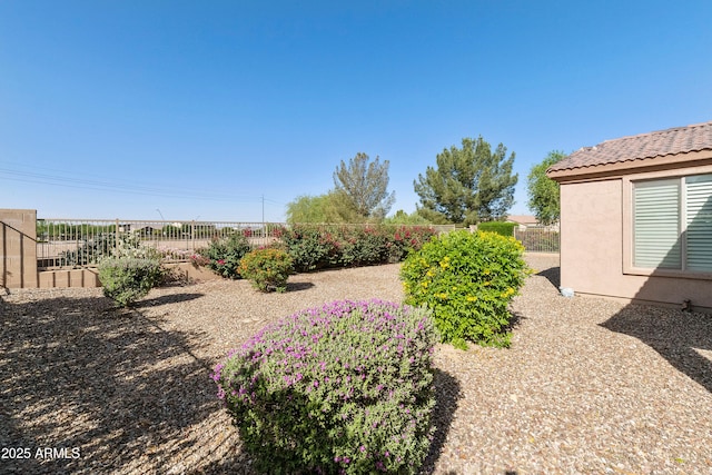 4245 E Ficus Way, Gilbert, AZ 85298 - view of yard featuring fence