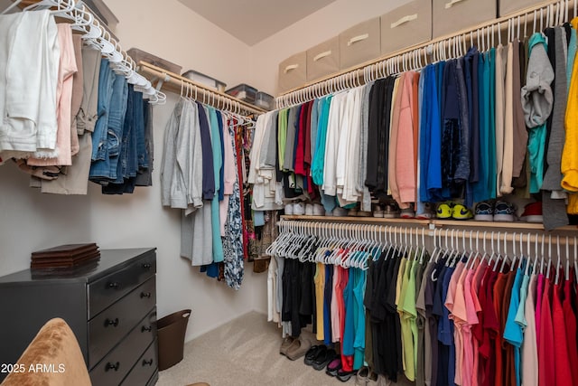 15134 W Waterford Dr, Surprise, AZ 85374 - spacious closet featuring carpet