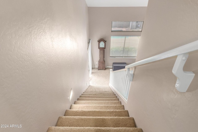 stairway featuring carpet floors