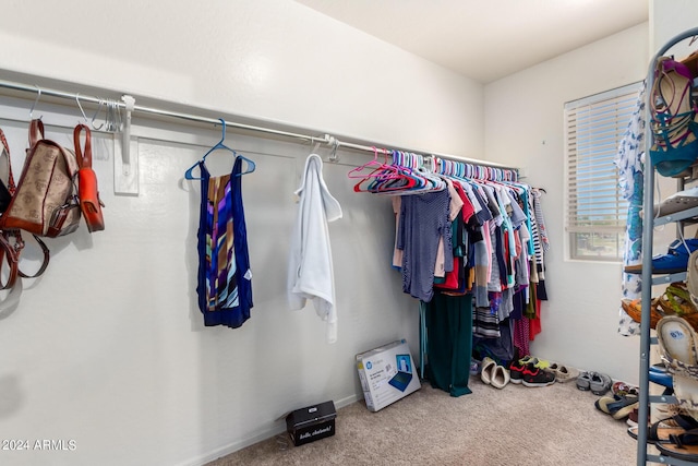 walk in closet featuring carpet floors