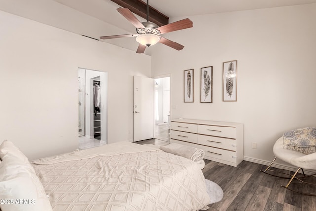 6156 W Del Rio St, Chandler, AZ 85226 - bedroom with wood finished floors, a walk in closet, ceiling fan, and a closet